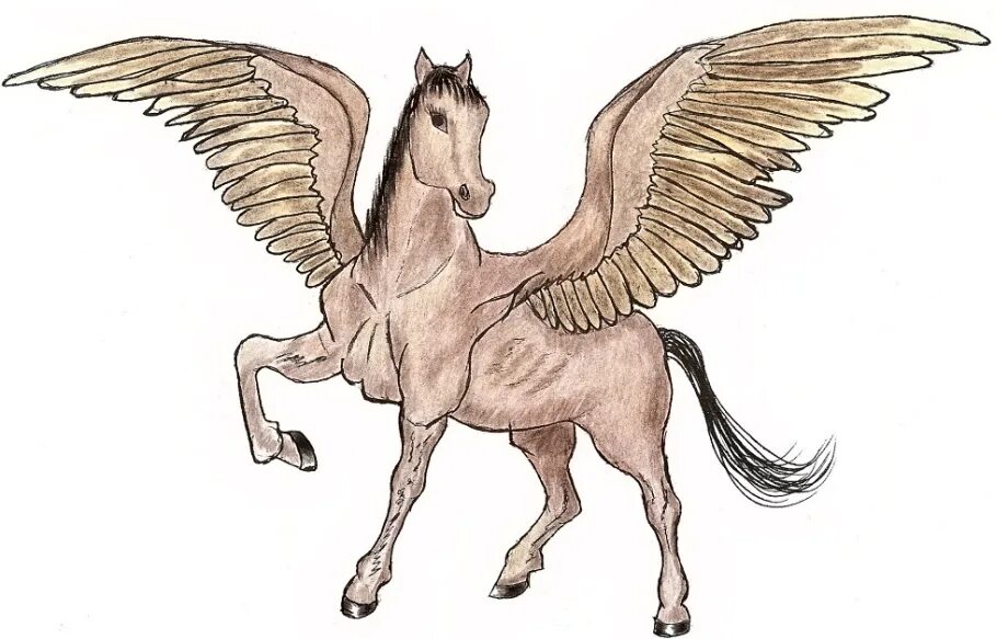 Крылатый конь. Пегас черно белый. Пегас для срисовки. Пегас карандашом. Пегас рисунок.