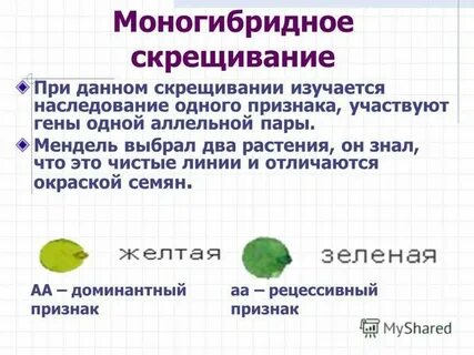 Скрещивание растений для определения типа наследования
