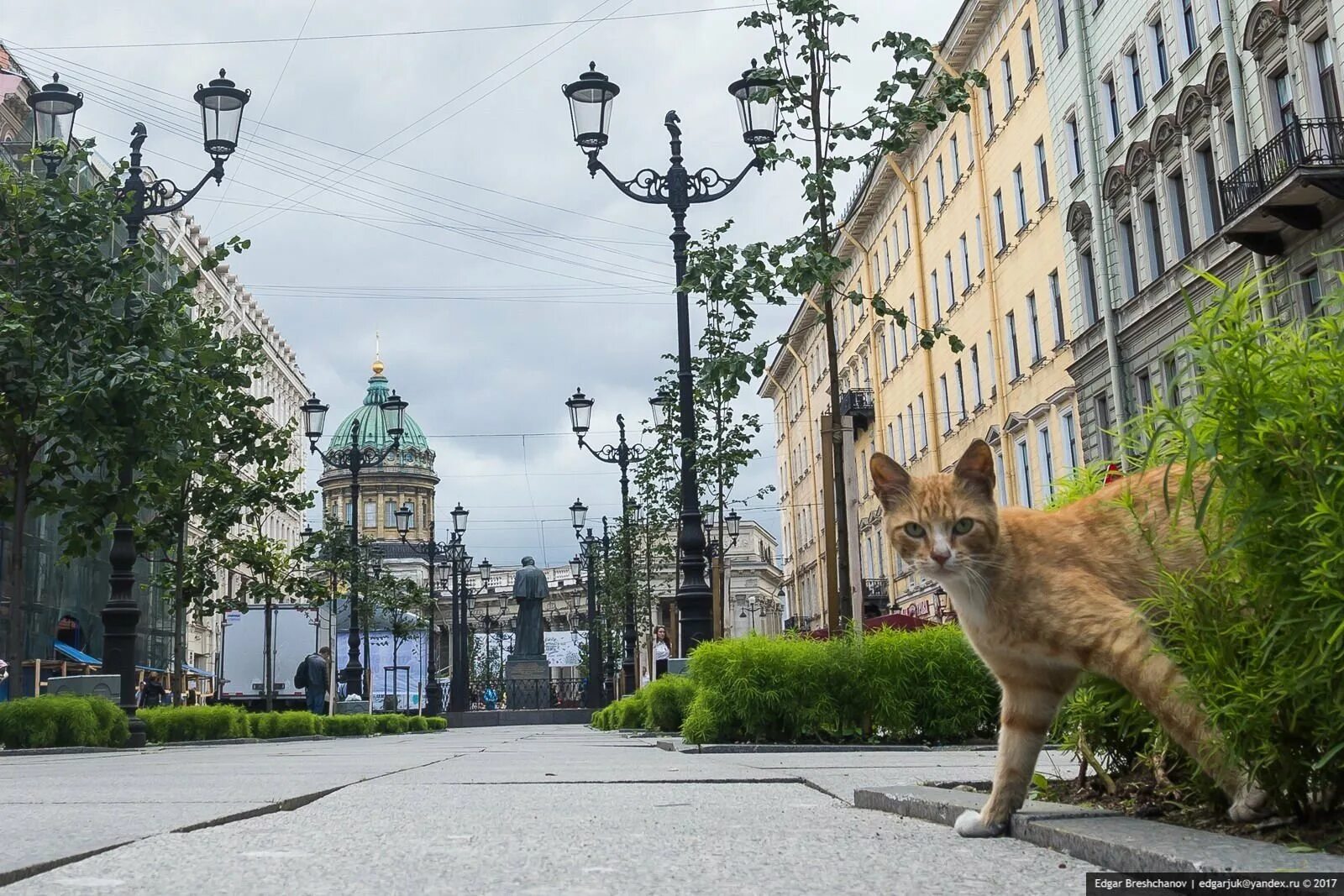 Петербург питомцев. Животные петербурга. Заяц в петропавловской крепости в санкт-петербурге. Памятники животным в санкт-петербурге. Животные питера.