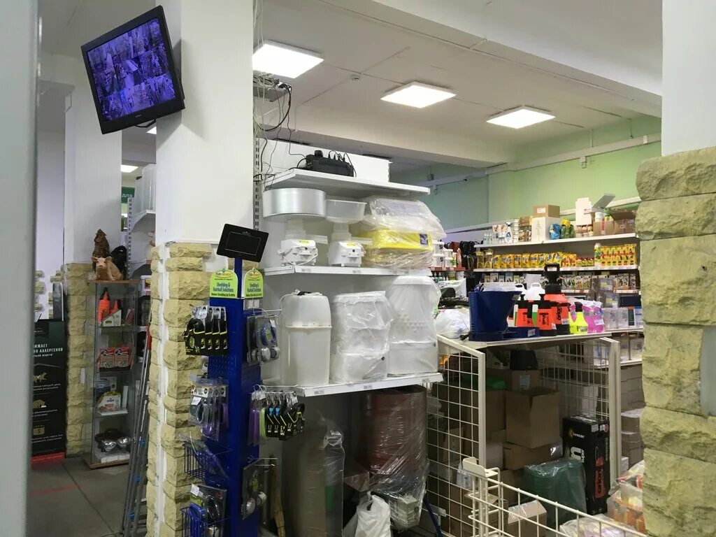 есть ли в восточном ветре ,балашиха зоомагазин?. зоомагазин балашиха. советский зоомагазин. петгруп все магазины. петгруп балашиха.