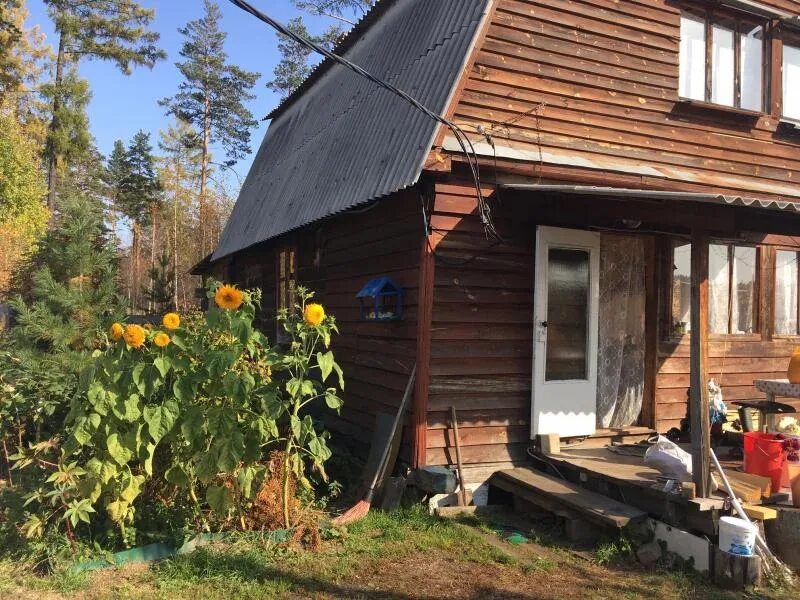 Иркутск широкая Падь. СНТ Восход Выборгский район. Дачи на станции летняя. СНТ Трикотажник Борисова грива.