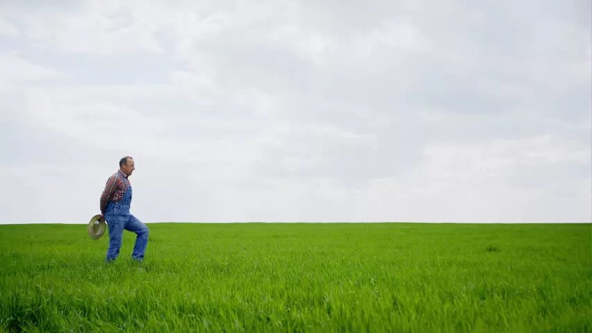 Человек в поле с распростертыми руками. Walk in the fields. Поле с высокой травой. The field is changing. Парень в степи.