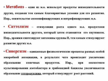 Каждый день бактерия порождает 3 новых бактерии
