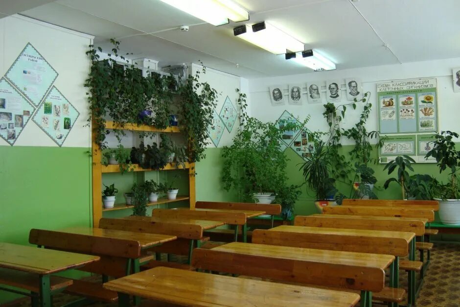 Оформление класса биологии. Растения для школьных классов. Озеленение кабинета в школе. Растения в интерьере школы. Интерьер кабинета биологии.