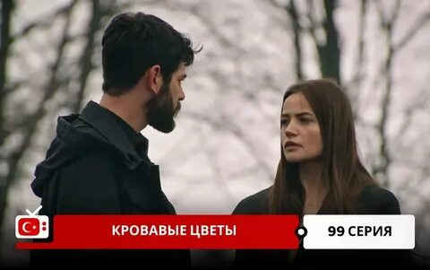 Кровавые цветы 311 на русском языке