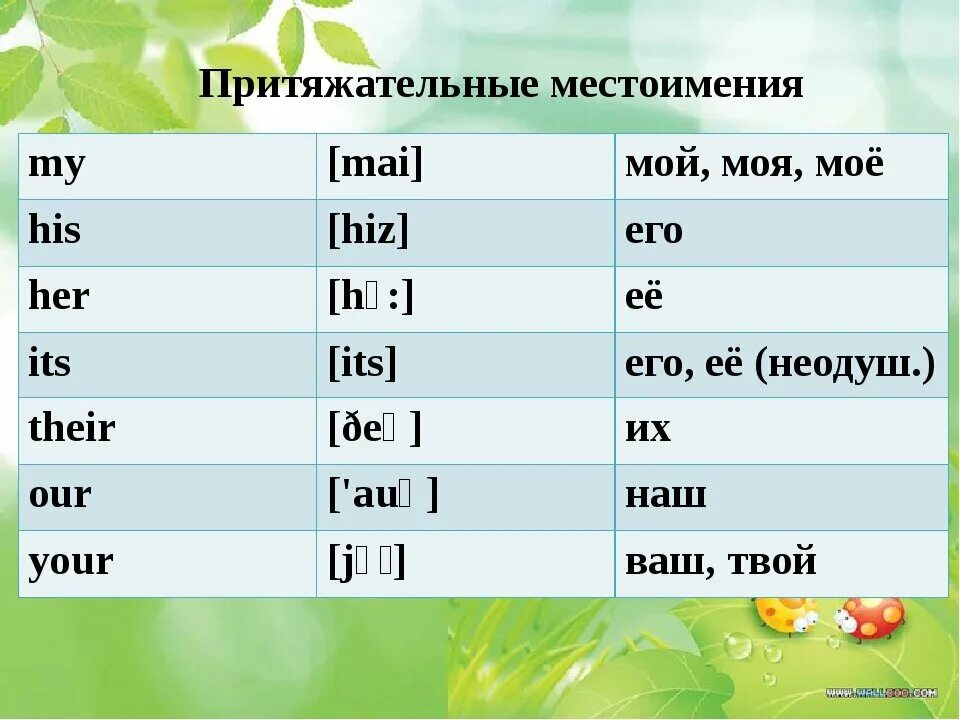Английский урок 4