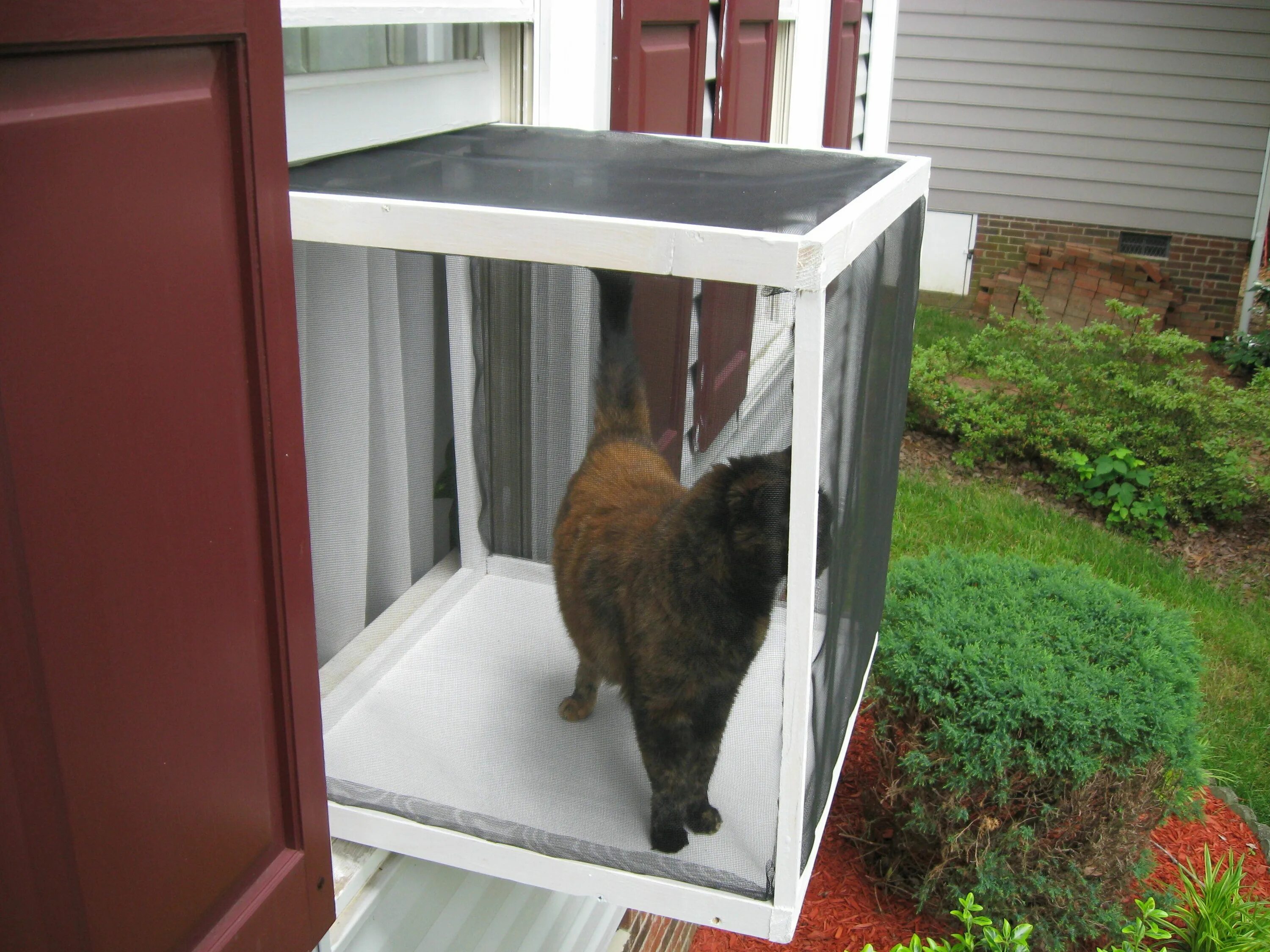 Вольер антикошка. Балкон для кошек на окно. Оконный вольер для кошек. Клетка для кошки на окно кошачий балкон.