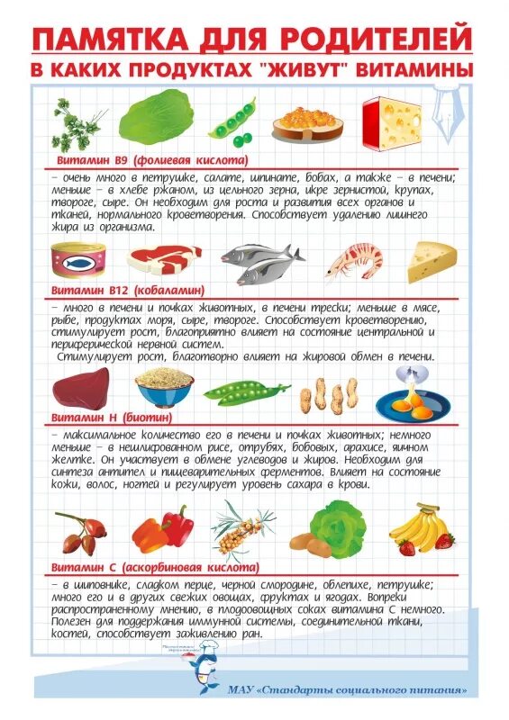 правильное питание средняя группа