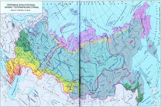 Тайга Восточной Сибири на карте. Тайга в Сибири на карте. Восточно Сибирская Тайга на карте. Карта России Тайга Сибирь.