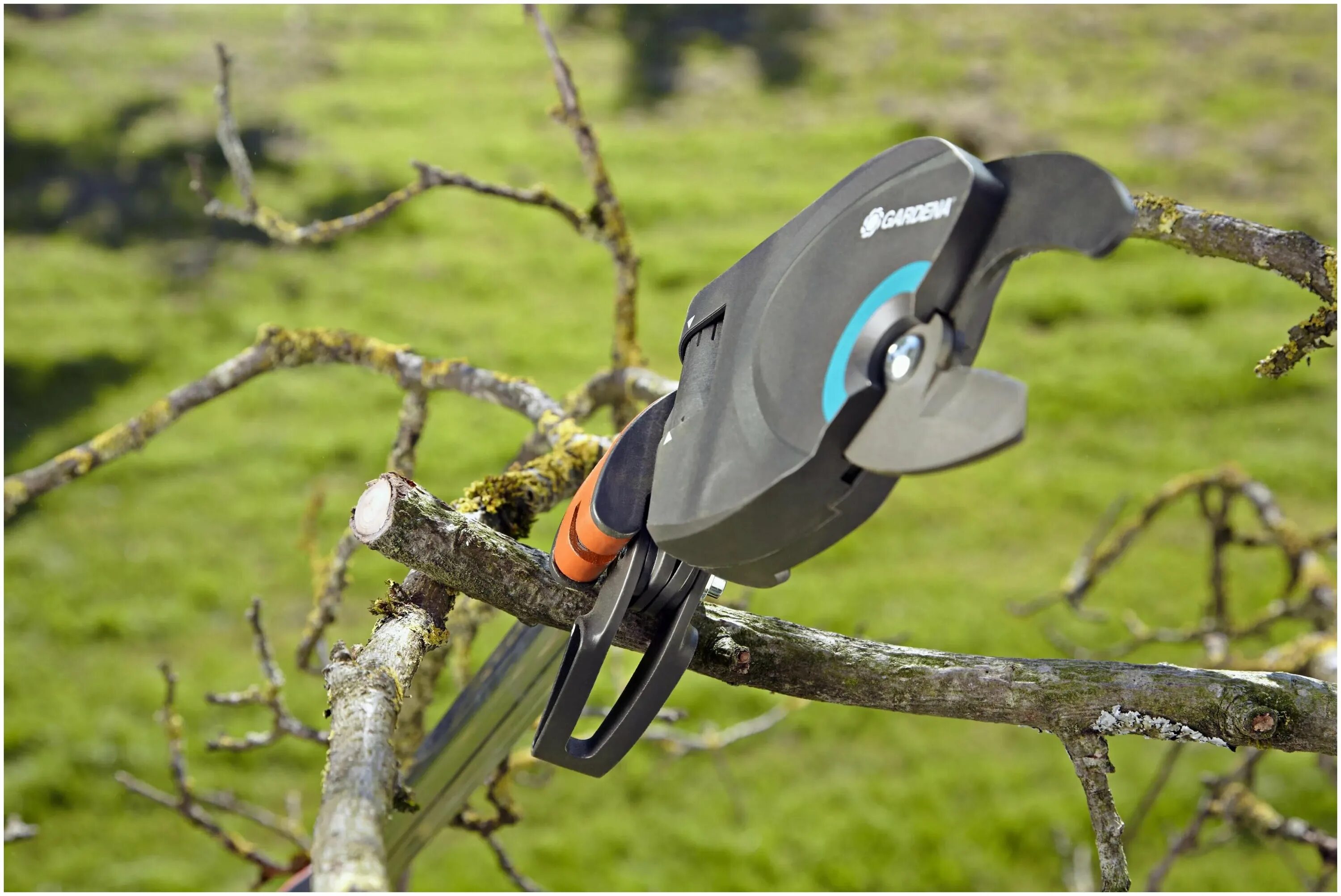 Электросекатор infaco f3015. Lithium pruning shears makita секатор аккумуляторный. Аккумуляторный электросекатор garden master. Сучкорез аккумуляторный ws-101. Электро секатор садовый бош.