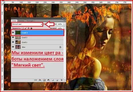 Цвет бота