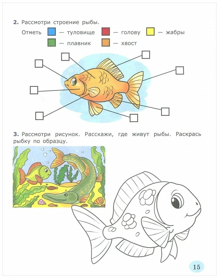 Рыбы задания для детей. Задания для дошкольников ры. Рыбы задания для дошкольников. Задания для детей о рыбах для дошкольников.
