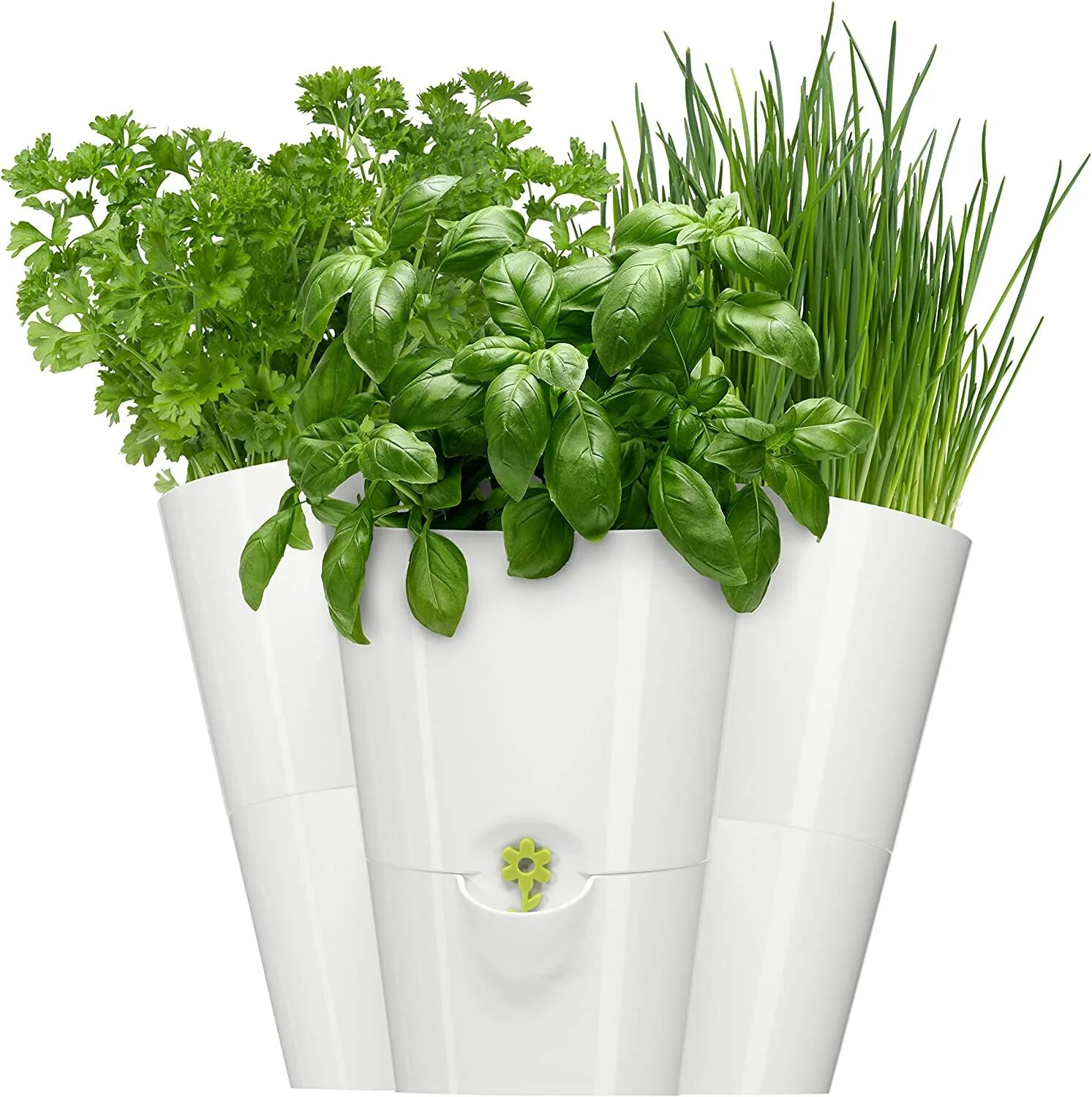 Как выглядит кашпо. Горшок для зелени emsa fresh herbs с системой автополива, 13 x 1 517706. кашпо ivy herbs (3 емкости) белый 229475. зелень в горшке. зелень в белом горшке.