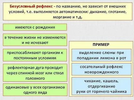 Безусловные рефлексы не зависят от внешней среды