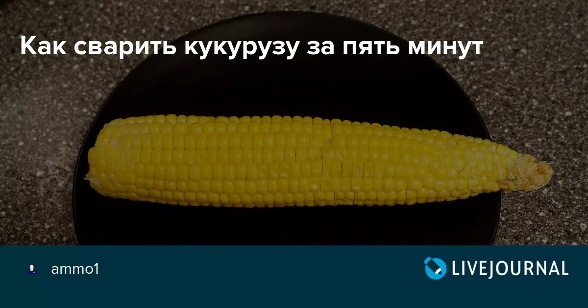 Большая кукурузина. Прикол про кукурузину. Кукурузина в разрезе. Частушка про кукурузину. Сколько минут надо варить кукурузу.