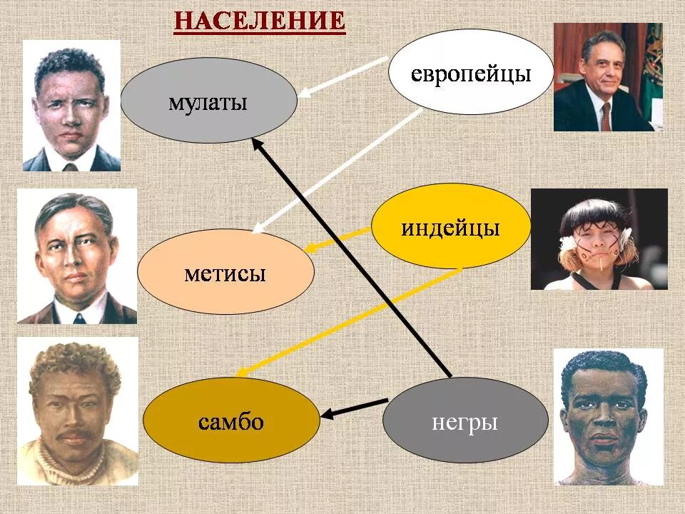 Метисы Мулаты самбо. Смешение рас. Смешанные расы. Смешанные расы Мулаты метисы самбо. Потомки от браков между европейцами и индейцами