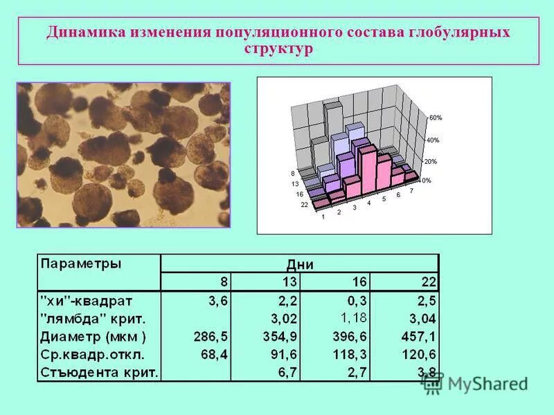 Генетика лабораторные работы