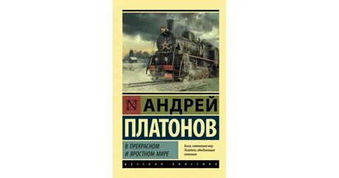 Тест по литературе в прекрасном и яростном