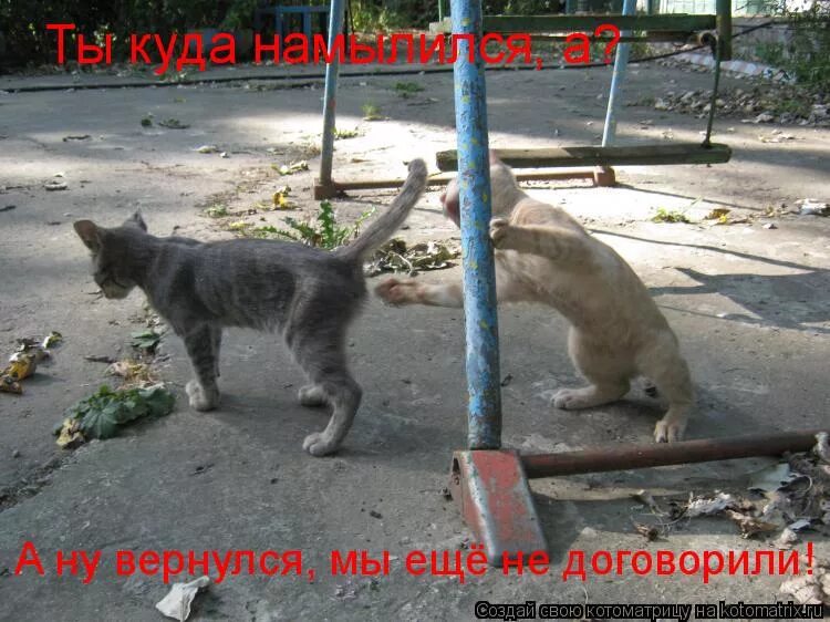 Я не договорила мем женщина. Я еще не договорила Мем. Мы еще не договорили. Я не договорила смешные. Мы не договорили картинка