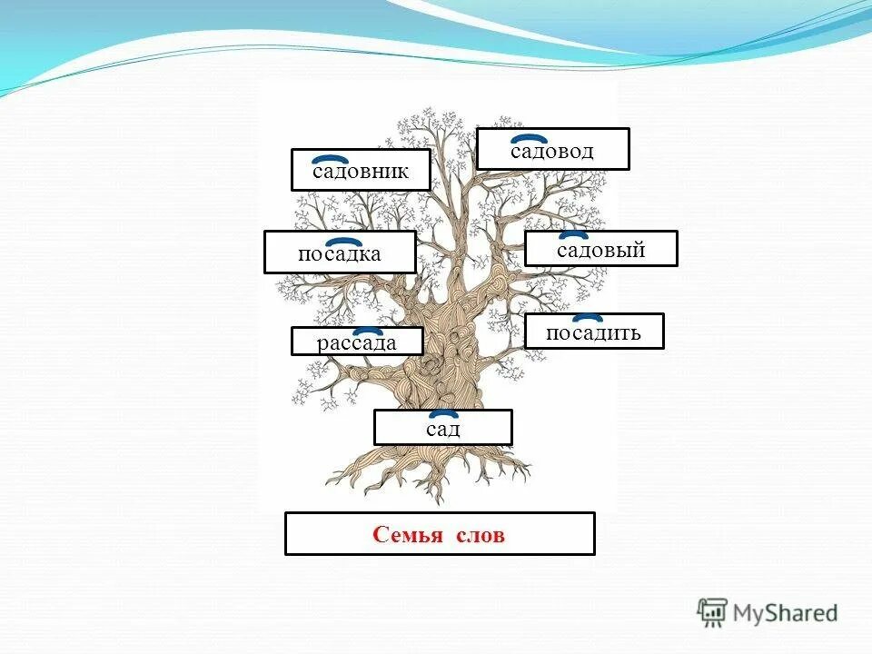 Дере во с однокореныме словами. Семья слов. Проект семья слов. Семья слов 3 класс. Дерево придумать слова