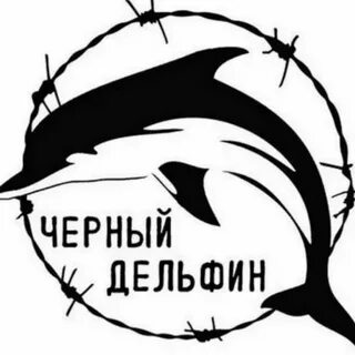 Слушать музыку черный дельфин