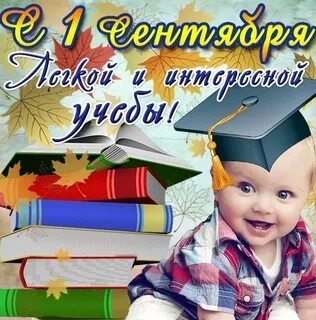 С началом учебы студента картинки
