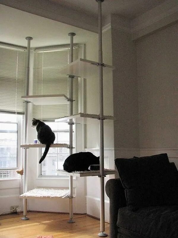 Развлечения для котов. Стольмен икеа. Стеллаж для кошек. Комната для кошек. Дизайнерская комната с кошками.