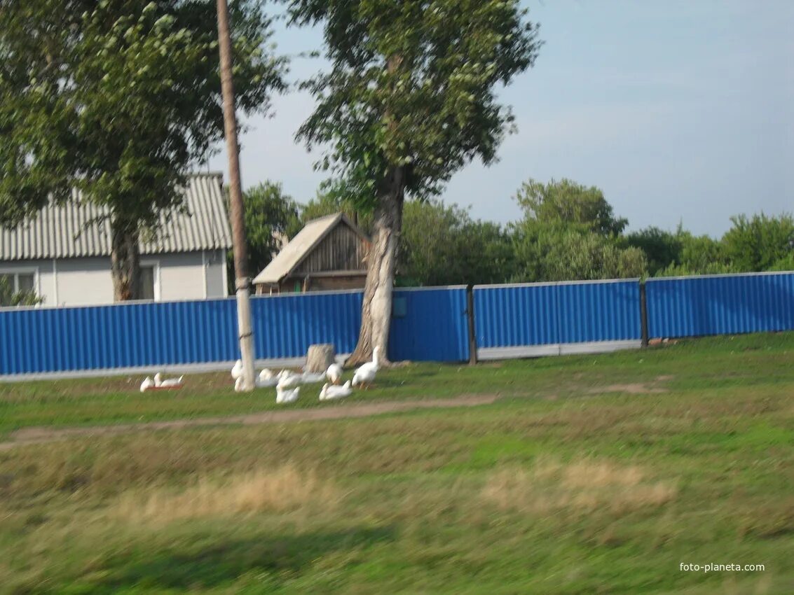 Село покровка алтайский край. Погода в покровке родинского алтайского. Погода в покровке родинского алтайского. Шаталовка алтайский край. Погода в покровке родинского алтайского.