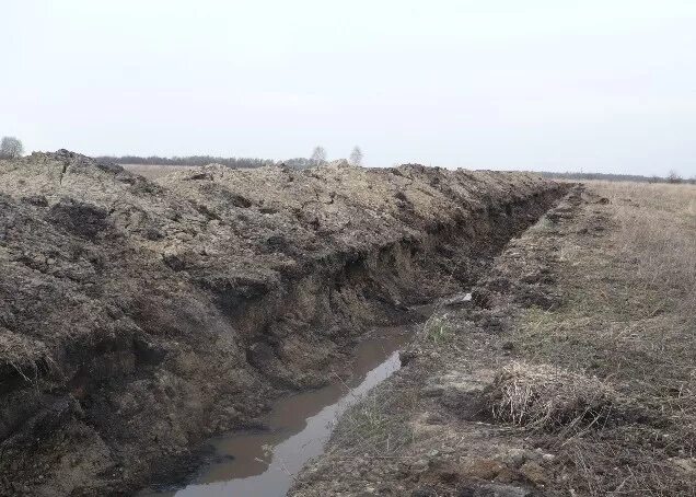 почвы нарушенных земель