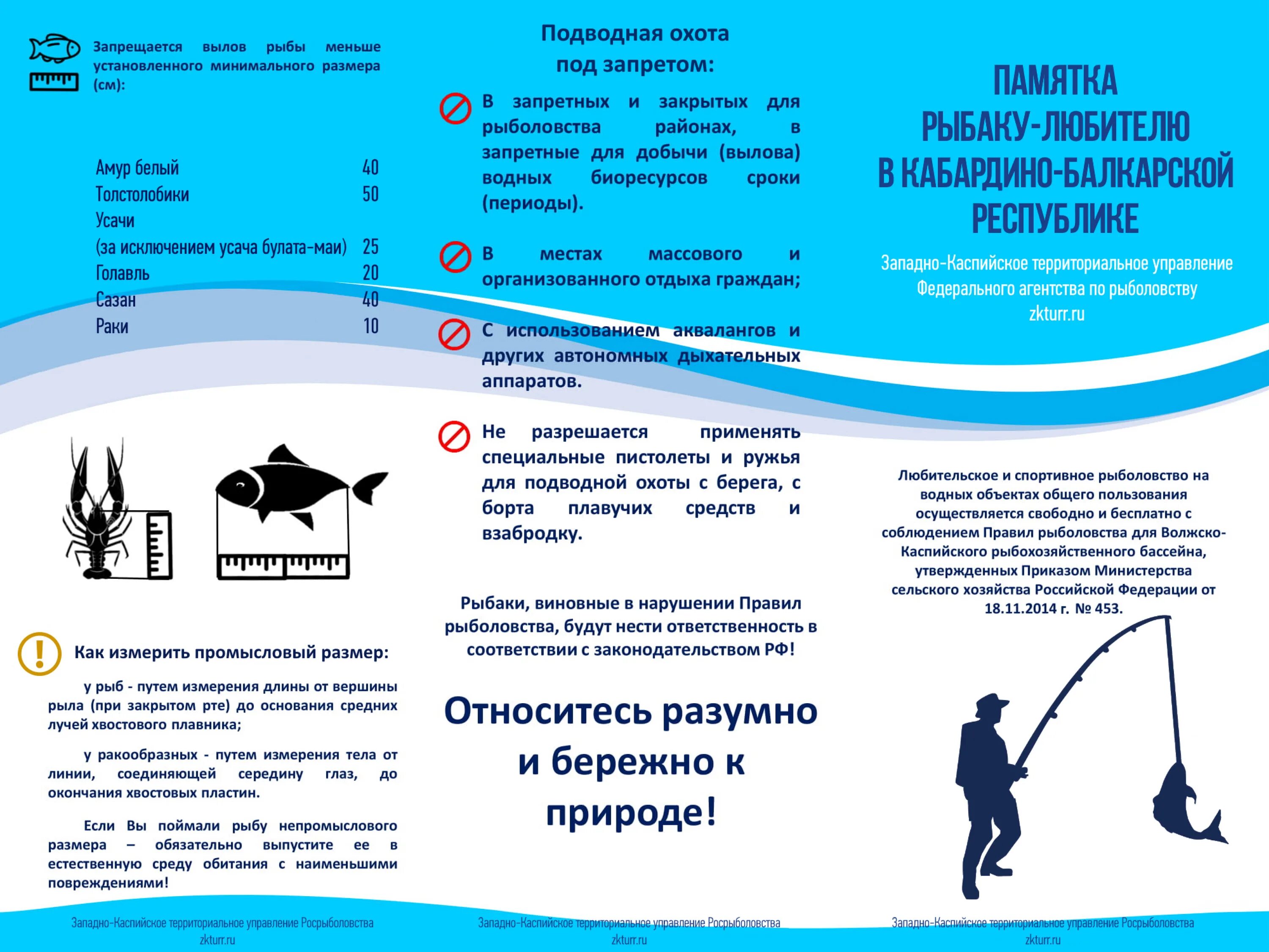 Правил рыболовства. Памятка для рыболовов любителей. Законодательство о рыболовстве. Памятка для рыбаков-любителей.