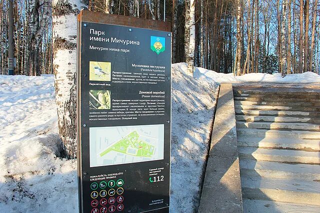 Мичуринский парк купить. Мичуринский парк Сыктывкар. В Мичуринском парке Сыктывкара сделали. Мичуринский парк карта. Парк имени Мичурина Сыктывкар Тамбов.