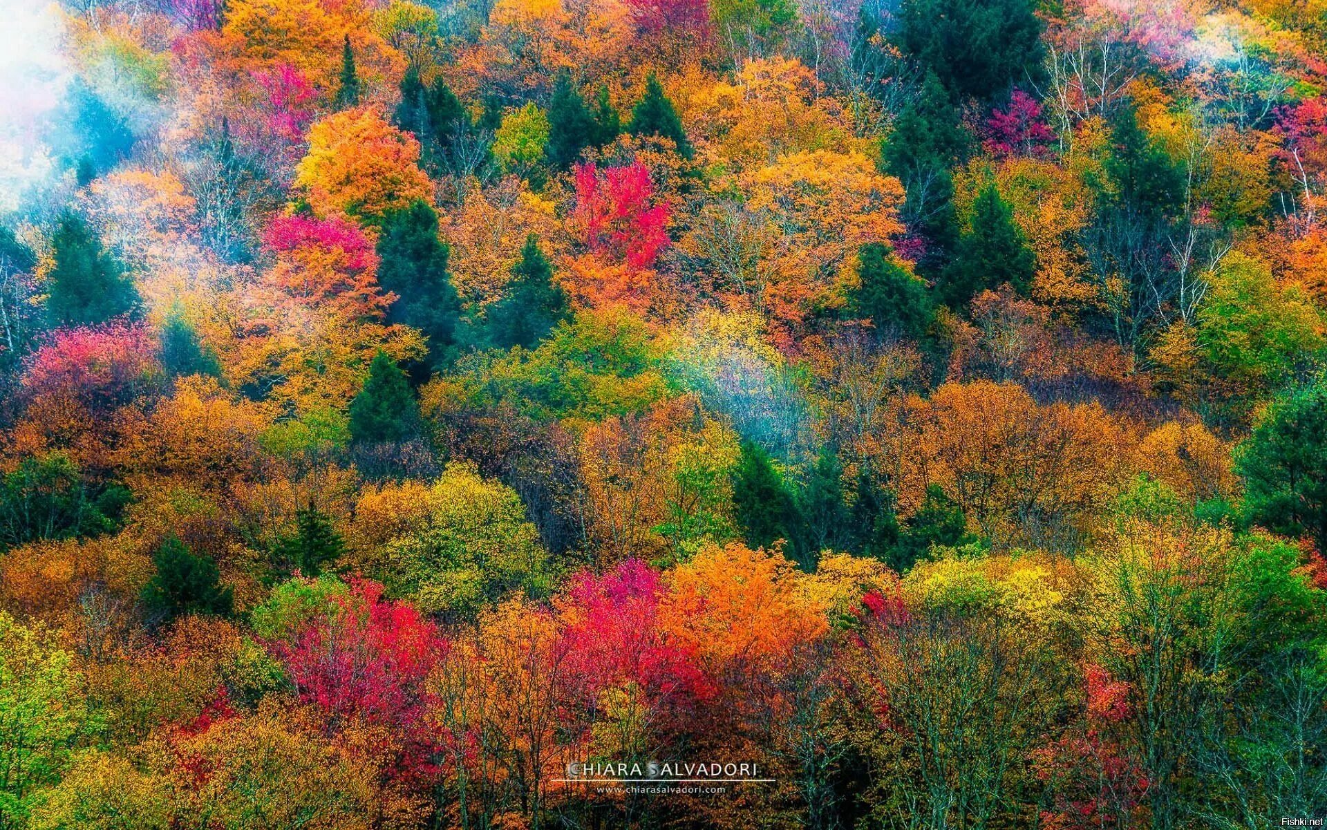 Fall in colours