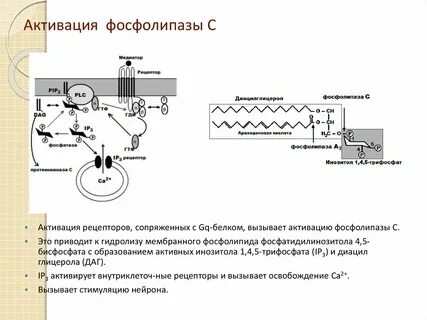 Электронно активированные