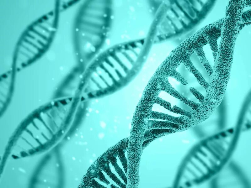 днк фото. мозги 2021. лаборатория генетики в играх. серебрякова елизавета ивановна. генетика тула.