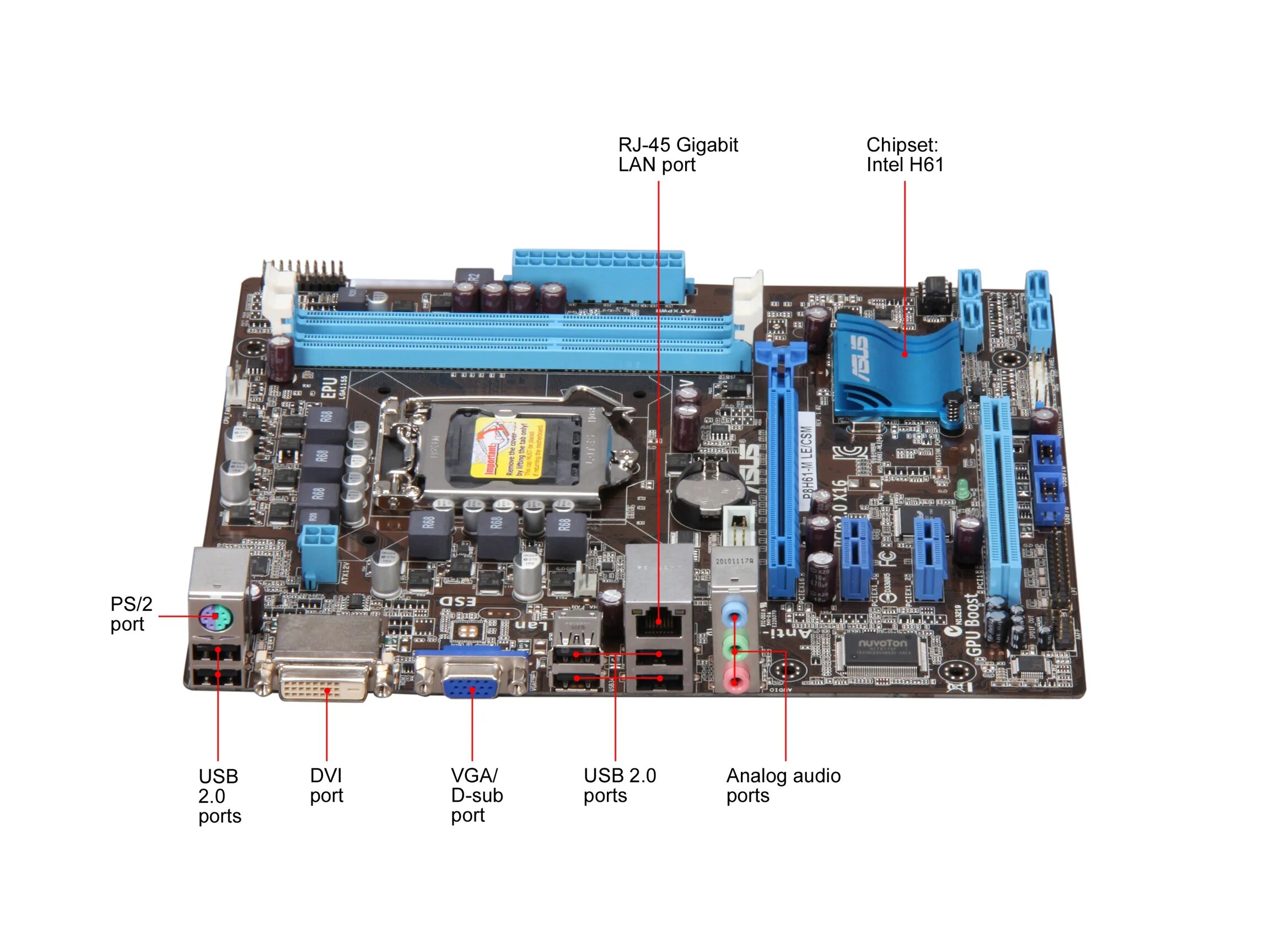 P8h67 m lx. Asus p8h61 atx. asus p8h67 atx. asus p8h61-m le. asus p8p67 matx.