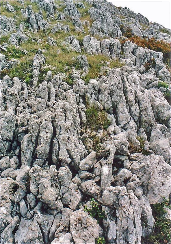 Карст в доломитах. Известняковый карст. Карры (карст). Карры (карст). Базальт карст.
