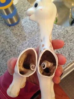 šalát Odchod na oneskorenie sophie la girafe mould odporca útes connect