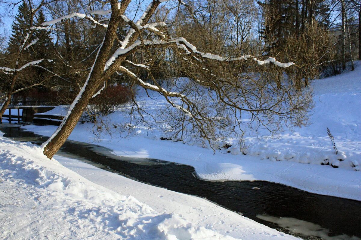 Используй в нем слова межа граница рубеж. Используй в нем слова межа граница рубеж. Февраль межа граница рубеж. Межа граница рубеж. Весенний водоем.