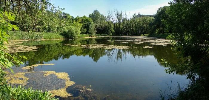 Забойка Омск озеро. Озеро Камышино Омская область рыбалка. Клёвое озеро Омск. Озеро Омск джардыколь. Клевое озеро