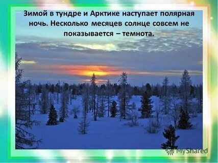 Полярной ночью в тундре впр