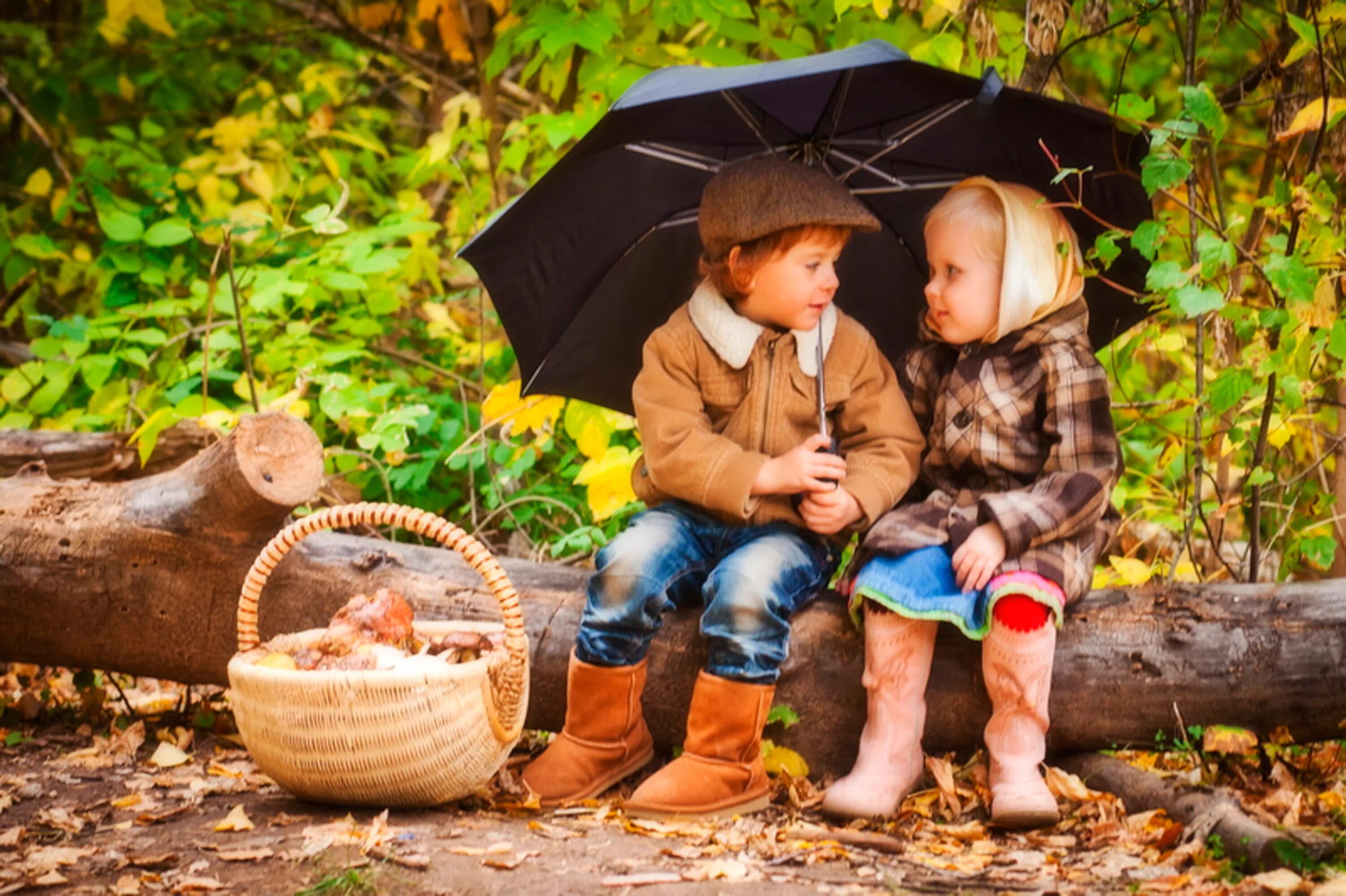 детишек собираю. собирать цветы. дети собирают грибы. дети собирают грибы. дети собирают землянику.