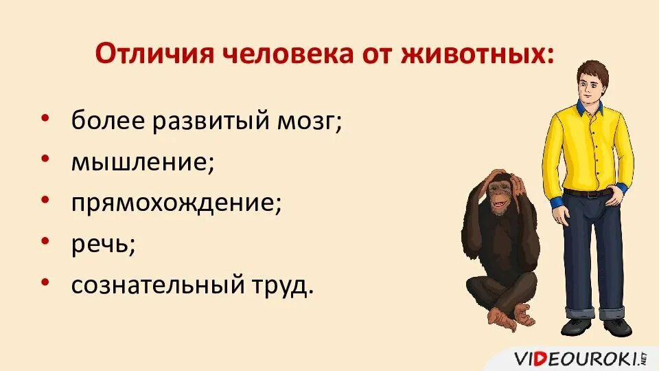 Человека от животного отличает особенность. Отличие человека от животных. Рисунок на тему чем человек отличается от животного. Чем человек отличается от животного Обществознание. Особенности человека от животного.