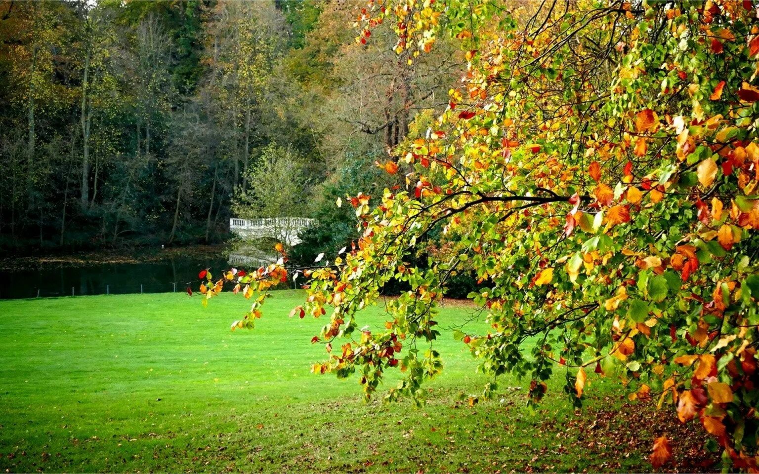 Конец лета 2019. Прощай лето для детей. Сбор гостей. Стихи про август красивые. Природы.