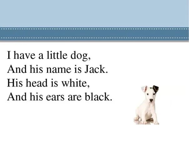 I have a Dog his name is Jack стих. I have a Dog. Стихотворение i have got a Dog. I have got a Dog his name is Jack стихотворение. Mike has a small dog перевод