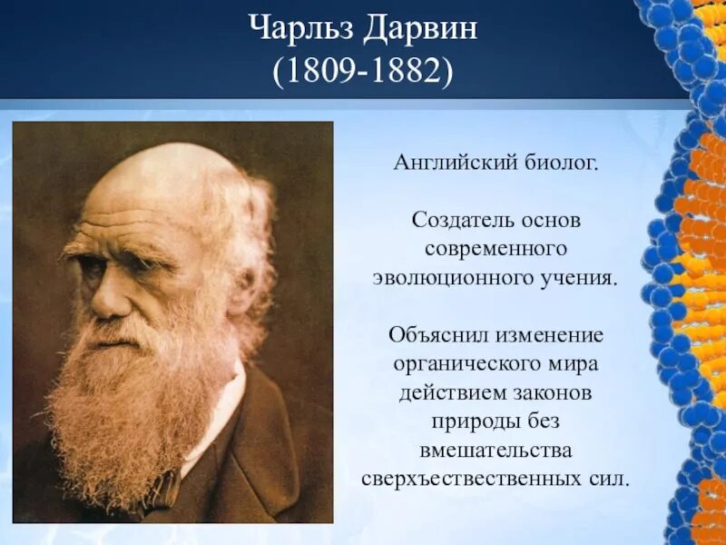 Теория Чарльза Дарвина 9 класс. Адаптации дарвин