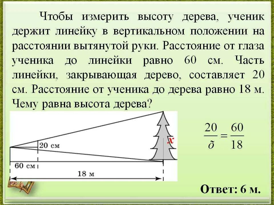 Возрастать в высоте. Измерение высоты дерева с помощью линейки. Определить высоту объекта на расстоянии. Определение высоты объекта с помощью линейки. Измерение высоты предмета на местности.