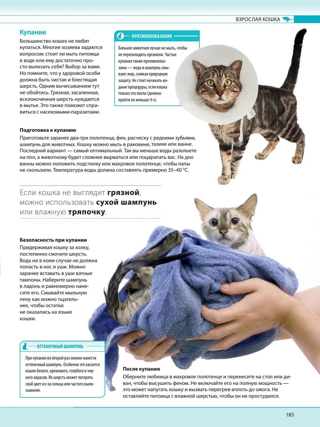 Сколько кошек можно. Кошки самая полная иллюстрированная энциклопедия. температура воды для купания кошек. температура воды для кошек. энциклопедия про кошек сама полная.