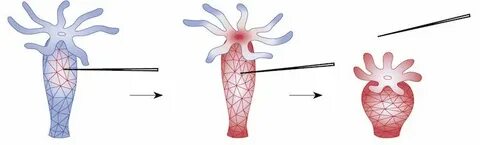 Макс журналы: керемет эротика
