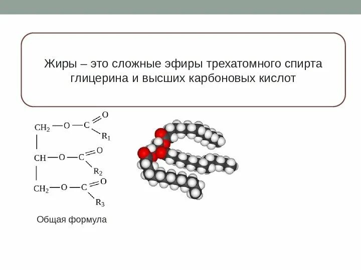 Глицерин кислота формула. Общие формулы жиров жиров. сложные эфиры трехатомного спирта. неполный сложный эфир глицерина. сложные эфиры глицерина и жирных кислот.