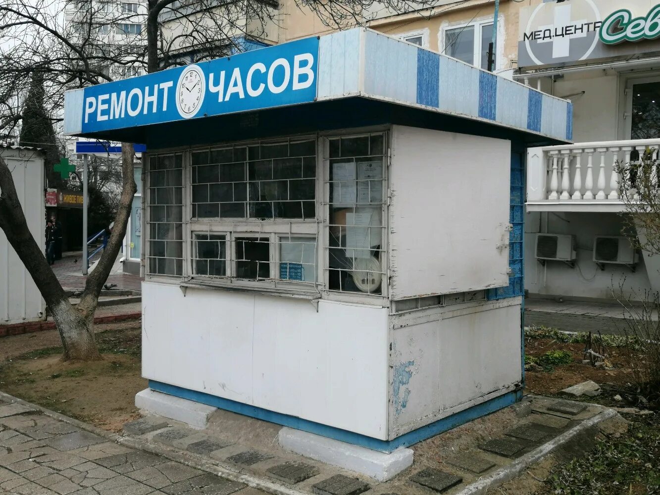 Проспект октябрьской революции 43 севастополь. Севастополь торговый центр апельсин фото. Проспект октябрьской революции 50г. Севастополь, проспект генерала острякова, 260. Библиотека часов севастополь.